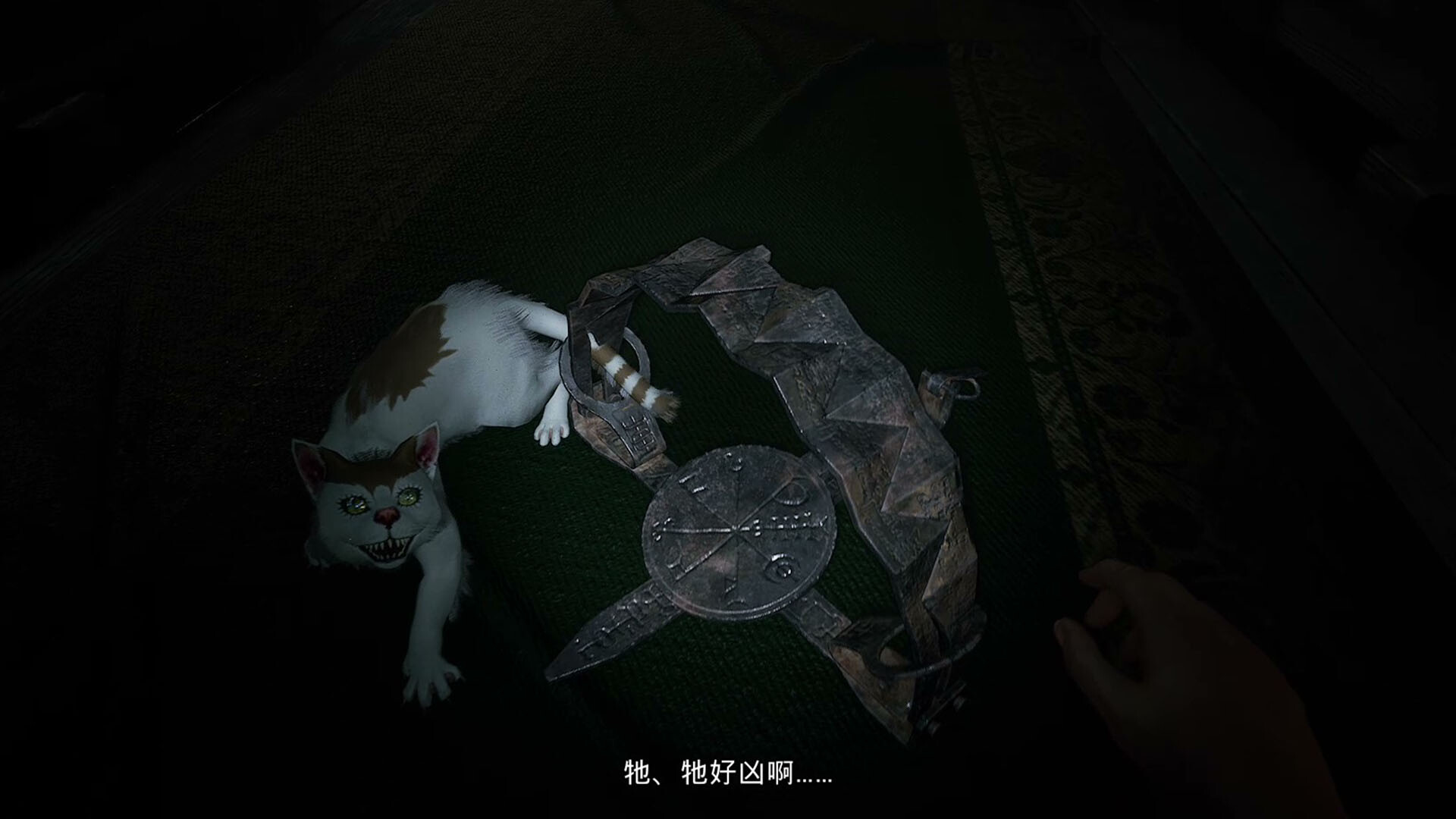 A cat with eerie eyes beside a mysterious object in Junji Ito Maniac: An Infinite Gaol