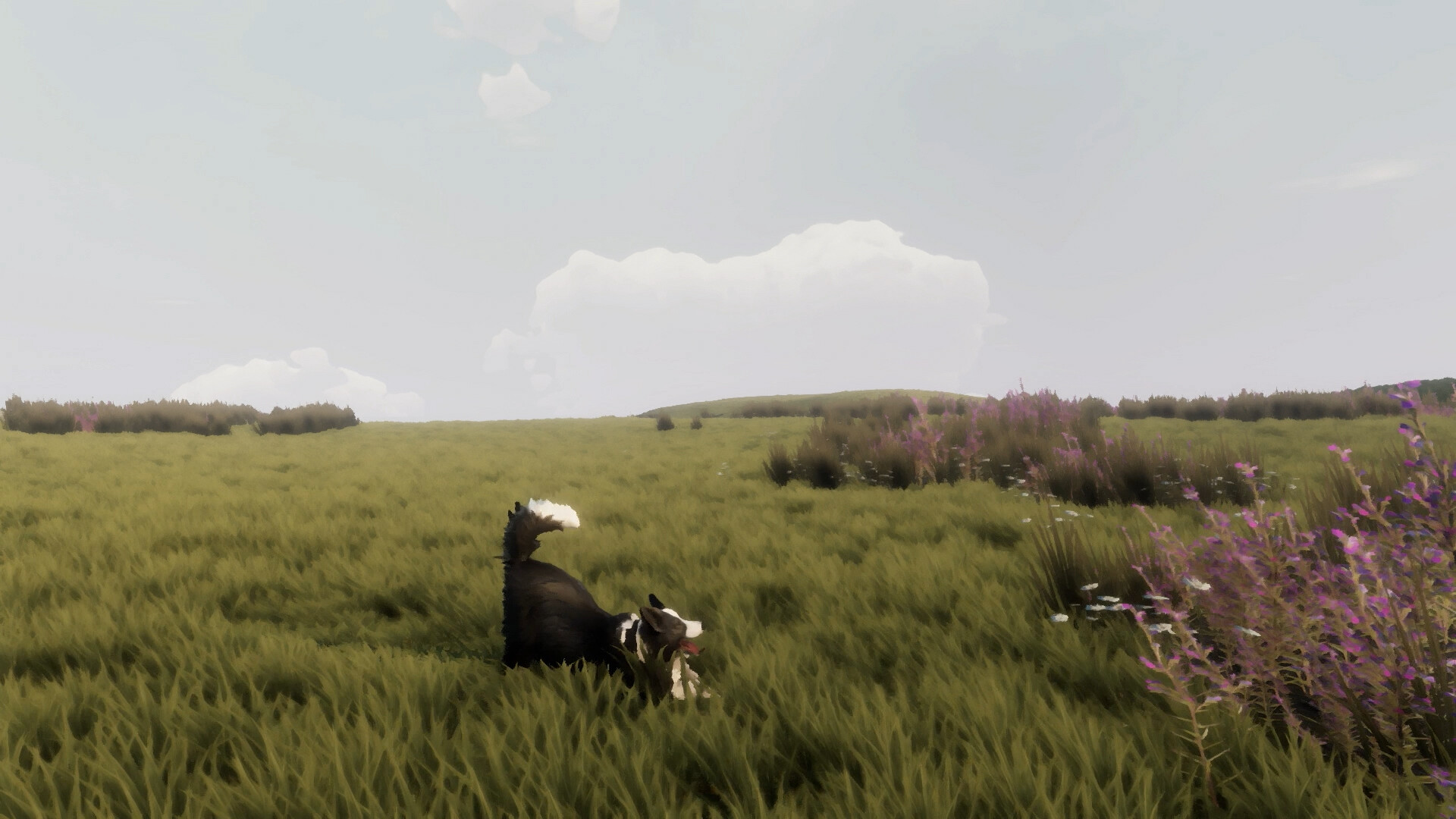 A dog exploring a lush green field under a cloudy sky in The Free Shepherd game.