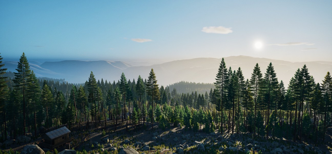Stunning forest landscape at sunrise in Prologue: Go Wayback!