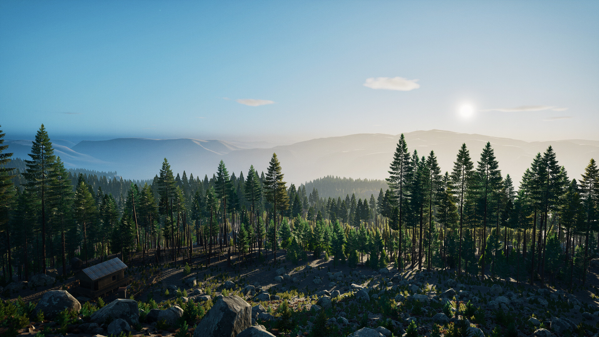 Stunning forest landscape at sunrise in Prologue: Go Wayback!