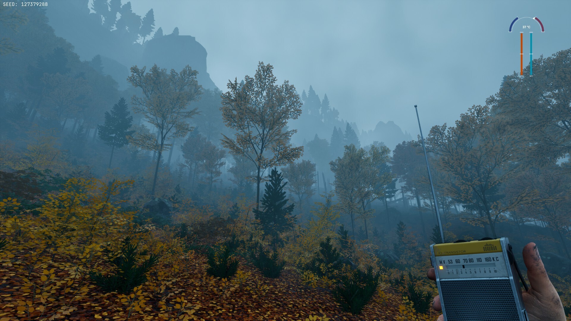 Misty forest landscape with a handheld radio in Prologue: Go Wayback!