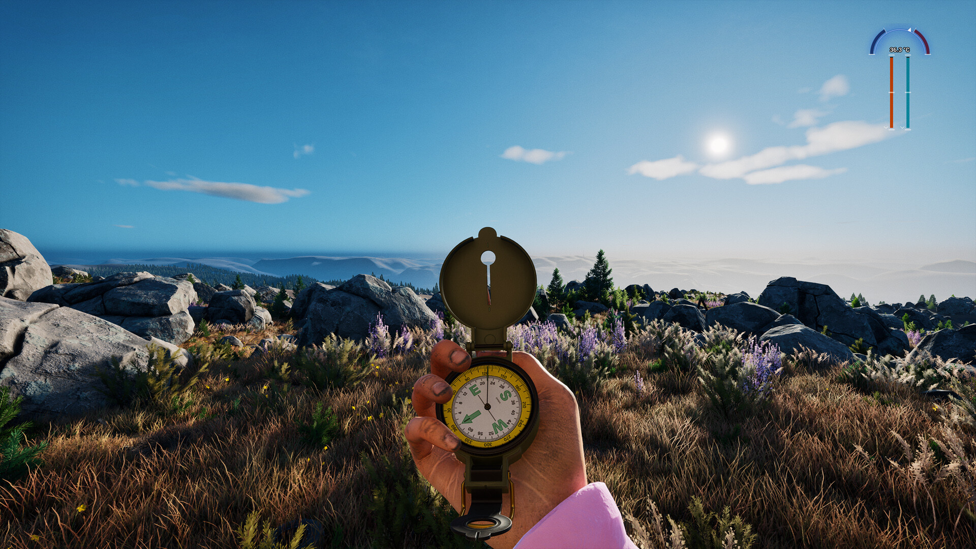 Player holding a compass in a scenic landscape of Prologue: Go Wayback!
