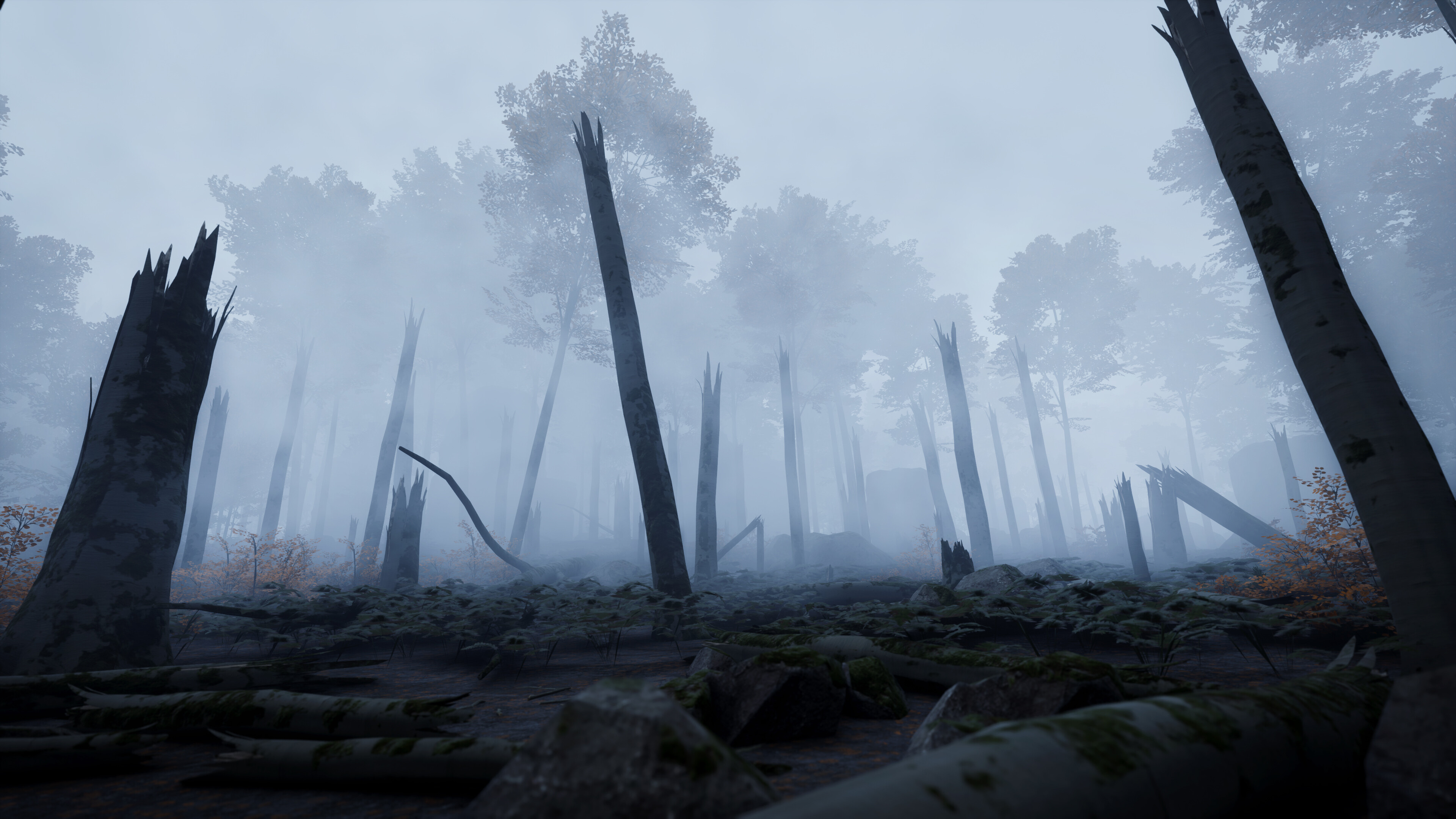 Misty forest landscape in Prologue: Go Wayback! showcasing eerie atmosphere