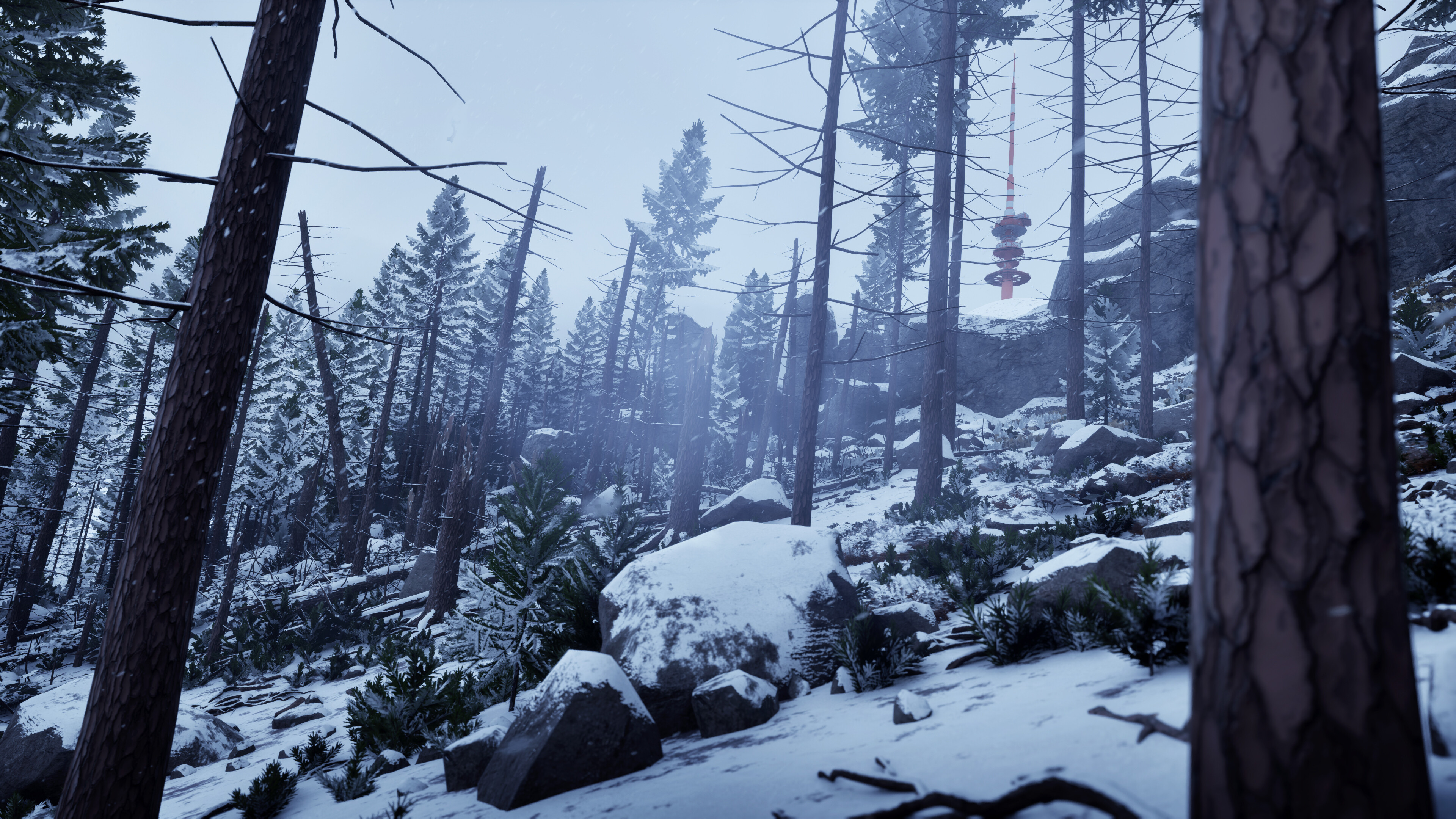 Snowy forest landscape in Prologue: Go Wayback! showcasing winter environment
