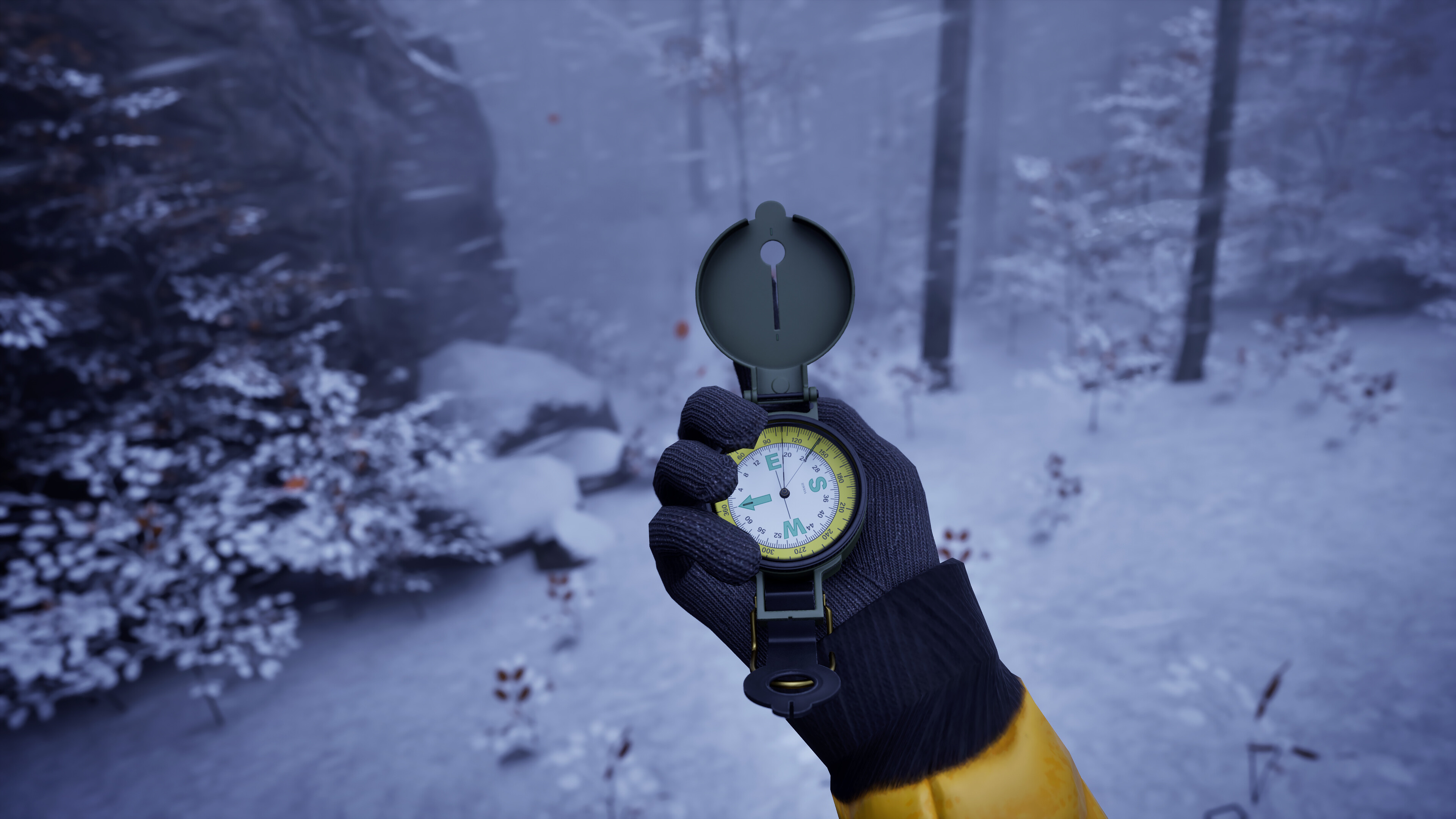 Player holding a compass in a snowy landscape in Prologue: Go Wayback!