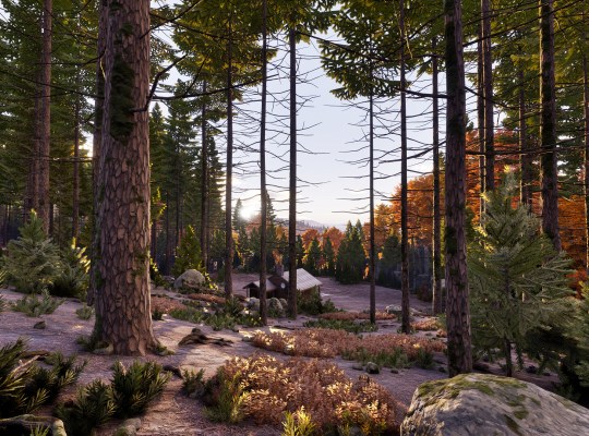 Scenic forest landscape from Prologue: Go Wayback! showcasing vibrant autumn colors.
