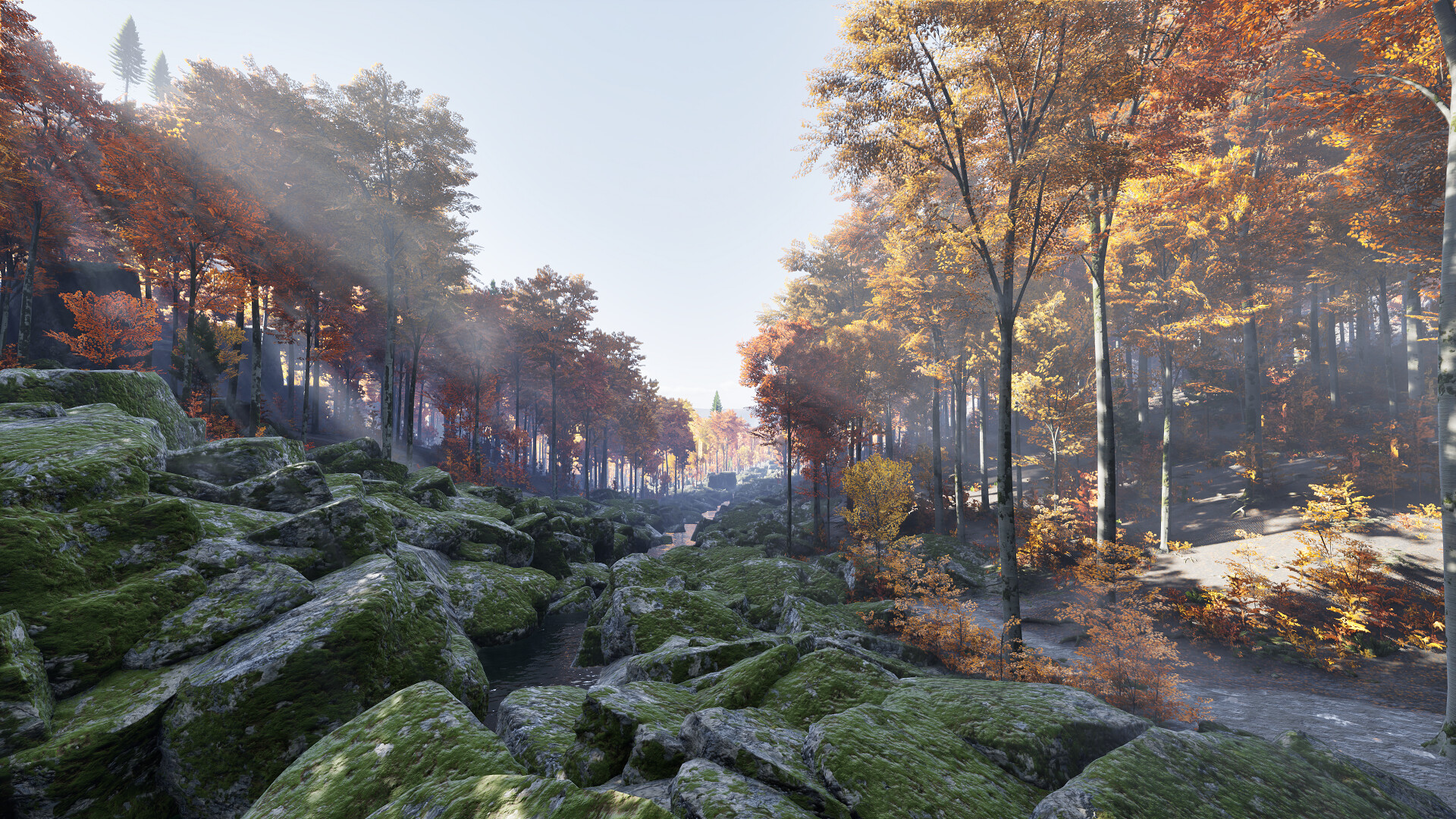 Serene autumn forest landscape in Prologue: Go Wayback! showcasing vibrant foliage.