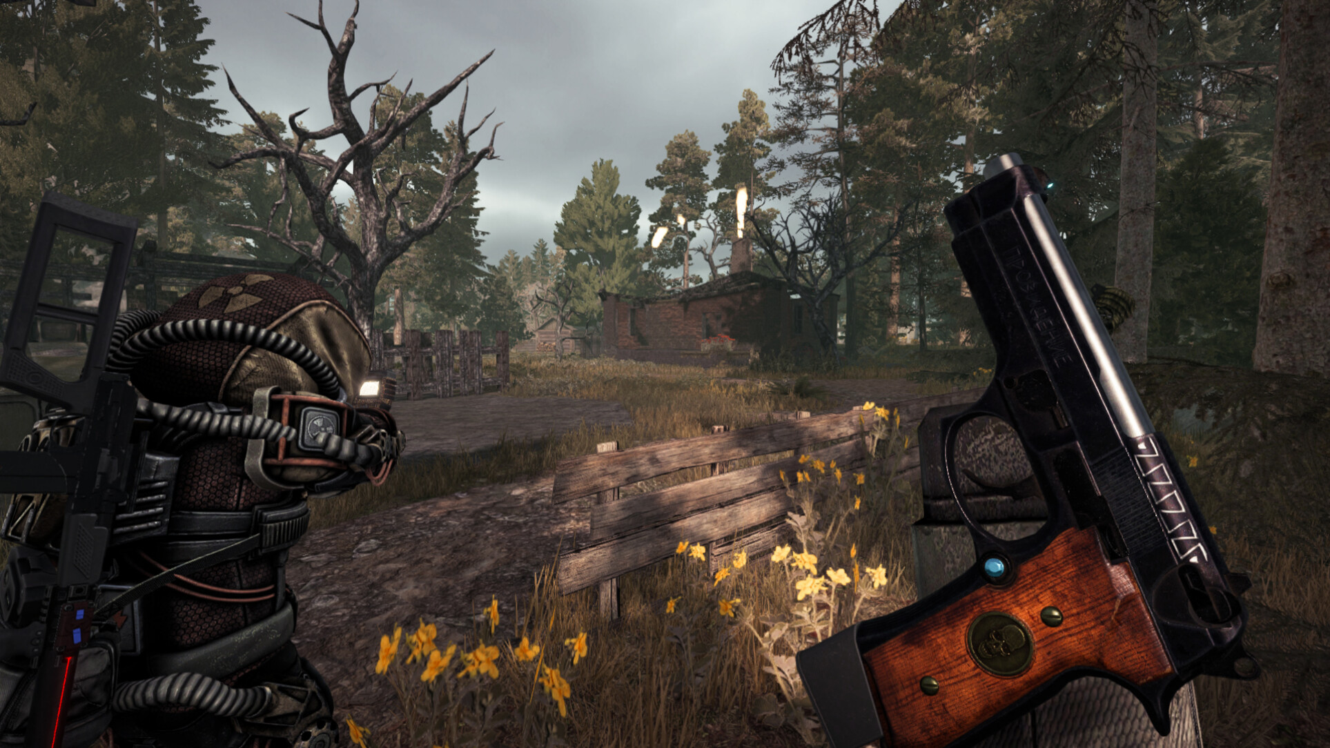 STALCRAFT: X gameplay featuring a character and weapon in a forest environment