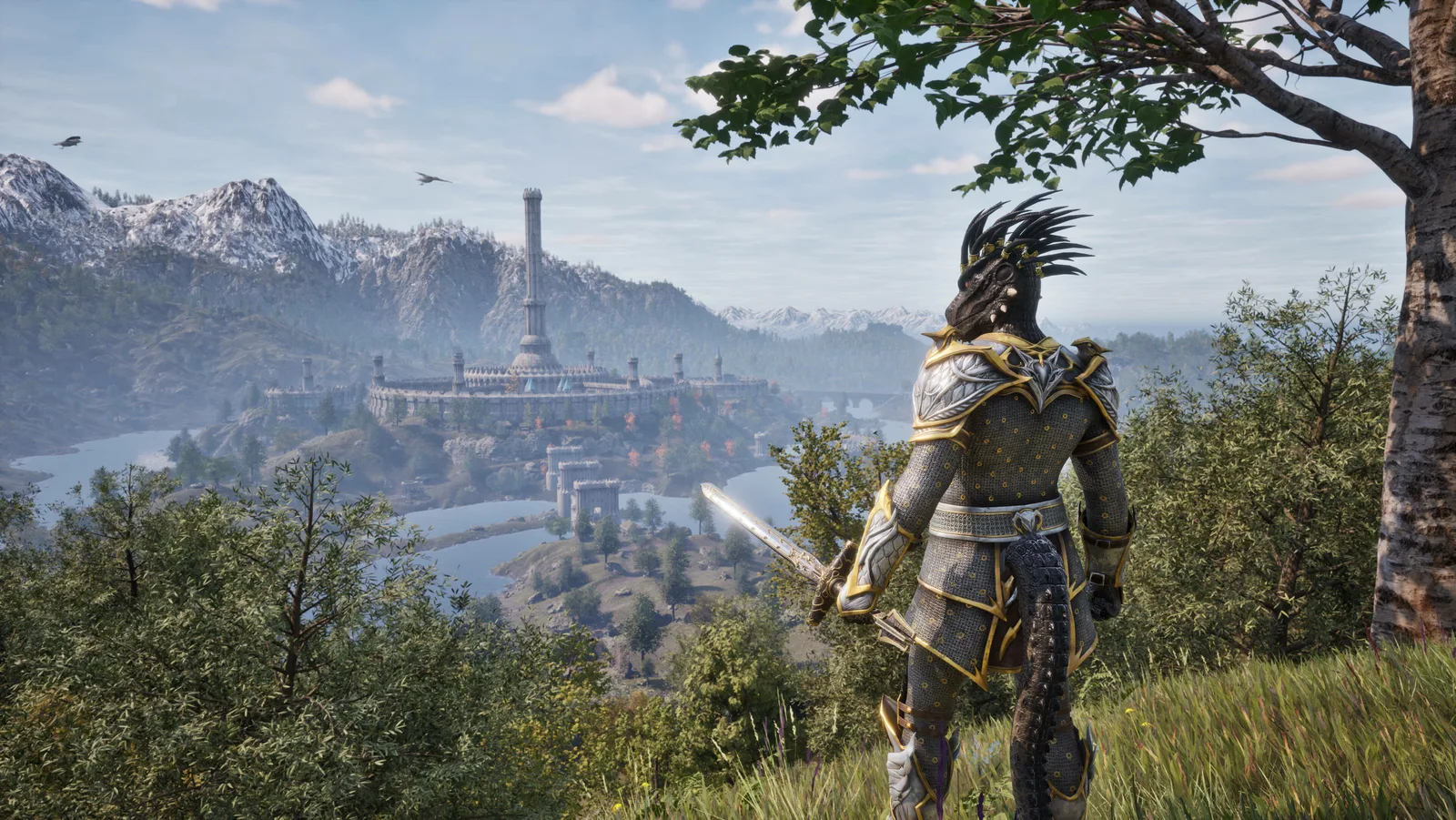 The Elder Scrolls IV: Oblivion gameplay screenshot 1