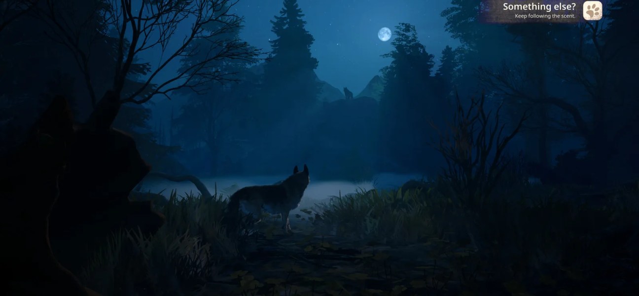 A shepherd dog in a moonlit forest, exploring a serene landscape.