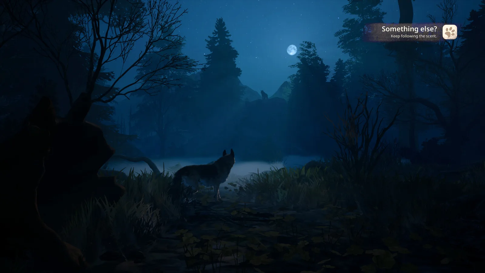 A shepherd dog in a moonlit forest, exploring a serene landscape.